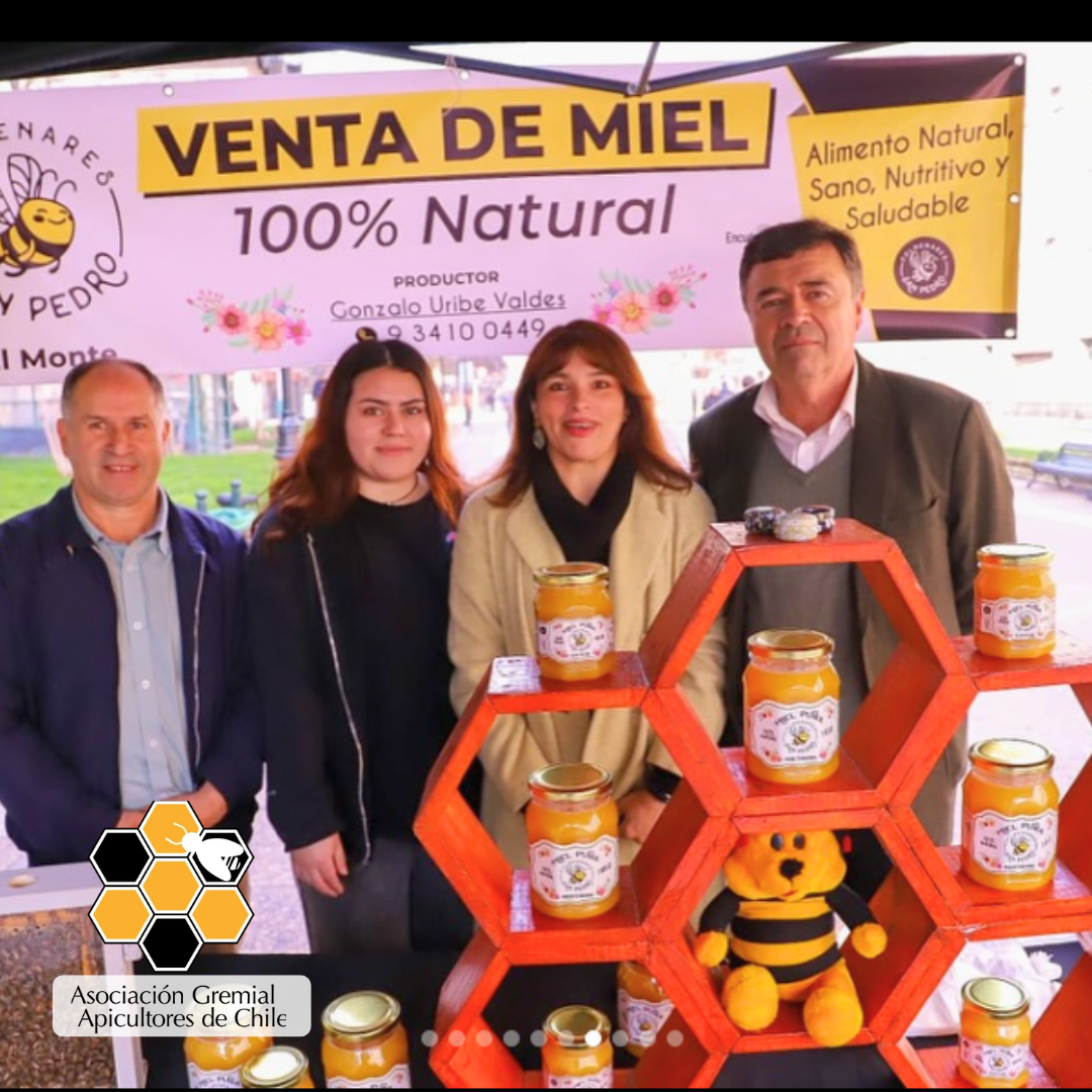 🍯🐝 ¡Celebramos el Día de la Miel en Santiago! 🇨🇱✨