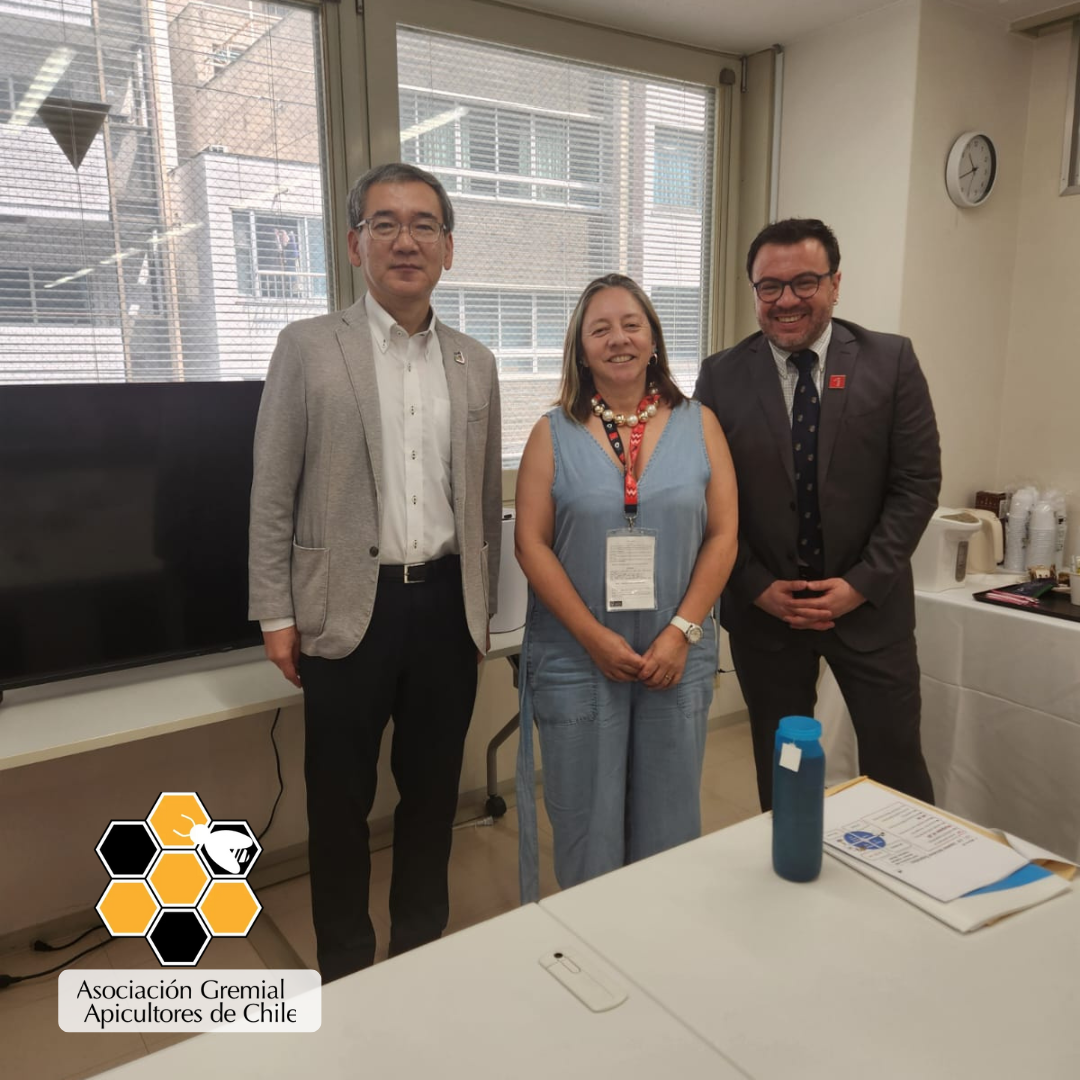 𝐀𝐬𝐨𝐜𝐢𝐚𝐜𝐢𝐨́𝐧 𝐆𝐫𝐞𝐦𝐢𝐚𝐥 𝐀𝐩𝐢𝐜𝐮𝐥𝐭𝐨𝐫𝐞𝐬 𝐝𝐞 𝐂𝐡𝐢𝐥𝐞 𝐩𝐫𝐞𝐬𝐞𝐧𝐭𝐞 𝐞𝐧 𝐥𝐚 𝐄𝐱𝐩𝐨 𝐎𝐬𝐚𝐤𝐚 𝟐𝟎𝟐𝟓